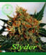Slyder - click to compare prices